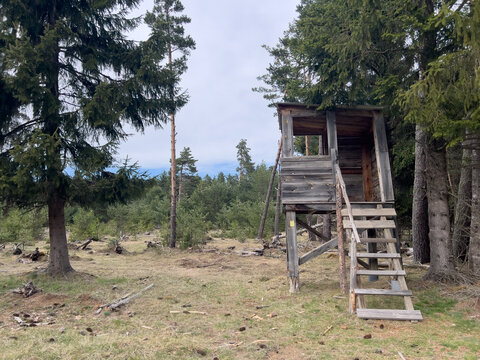 Wooden hunting high stand in Matemale forest land
