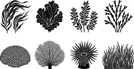 Underwater sea plants and coral reef black silhouette icons vector set isolated on white background © MdMenhajul