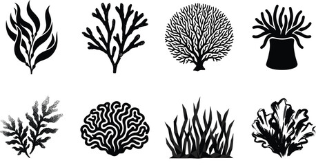 Underwater coral reef and seaweed silhouette vector icon set featuring marine plants and sea anemone elements © MdMenhajul