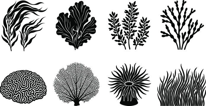 Underwater sea plants and coral reef black silhouette icons vector set isolated on white background