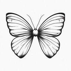 Black and white butterfly illustration with open wings on transparent background © Anik