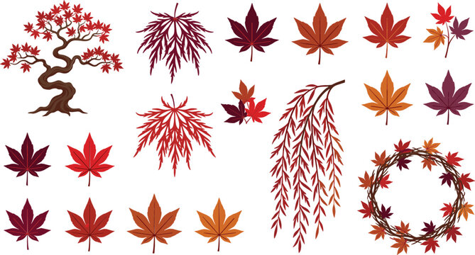 Japanese maple bonsai tree vector elements set featuring red autumn leaves branch wreath trailing weeping foliage and momiji leaf shapes isolated illustration