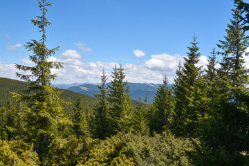 Fototapeta premium Summer landscape in mountains and blue sky with clouds. Carpathian, Ukraine, Europe.
