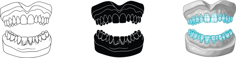 Set of human jaw and teeth models featuring outline silhouette and highlighted teeth for dental anatomy and oral health concepts © Ahmad