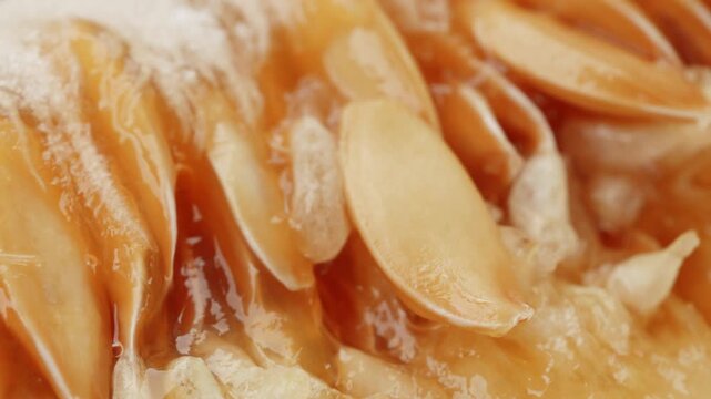 Honeydew melon and seeds close up rotating camera motion stock footage