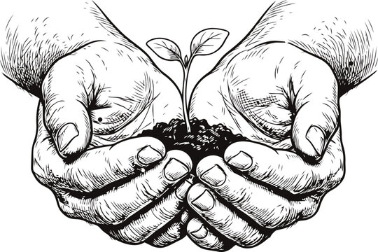 Detailed hand drawn illustration of human hands holding small seedling growing in soil for ecology