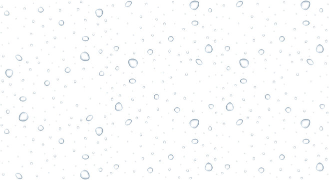 Realistic rain water droplets isolated on transparent background. Fresh liquid drops PNG