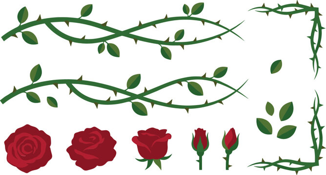 Thorny rose vine borders vector elements set featuring creeping green stems sharp thorns red blooming roses closed buds and loose leaves isolated illustration