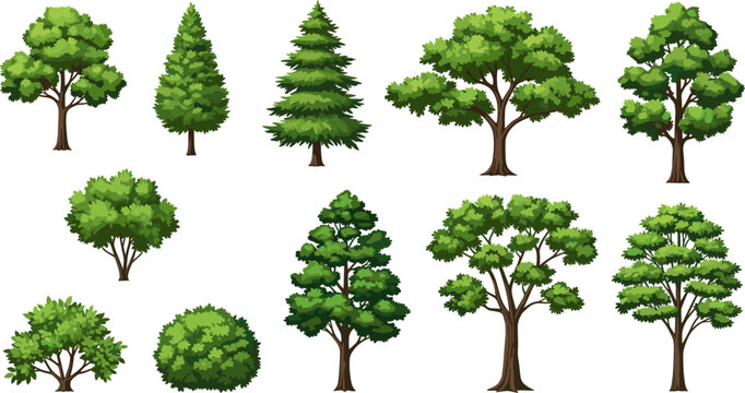 Green Tree and Bush Vector Illustration Set with Various Deciduous and Coniferous Plants for Architectural Renderings, Landscape Designs, and Environment Maps