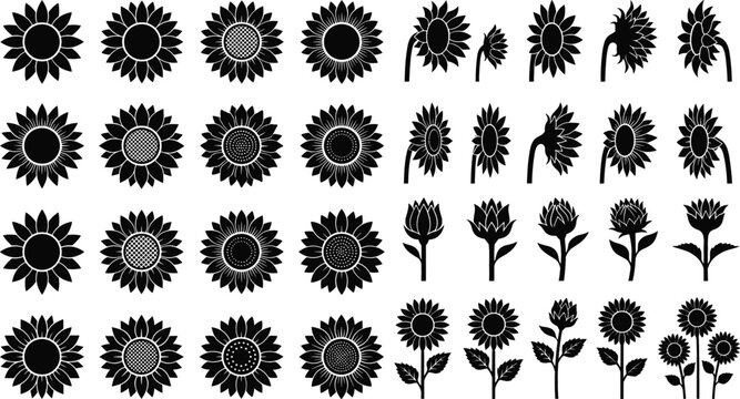 Black sunflower silhouette vector collection featuring various flower heads, side profiles, stems, buds, and botanical elements isolated on white background.