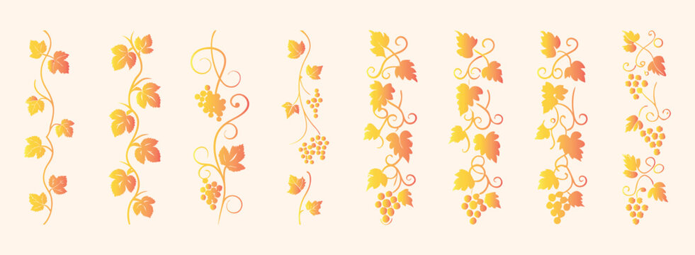 Autumn grapevine elements with leaves and grapes