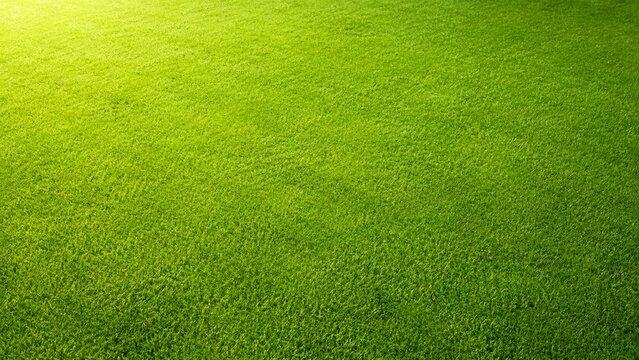 Fresh Green Soccer Pitch Grass Background with Open Copy Space