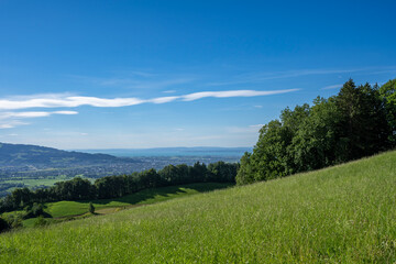 Fototapeta premium Panoramic high-angle view over the lush green Rhine Valley in Vorarlberg, distant mountains of Switzerland, and Lake Constance under a vibrant blue sky with clouds