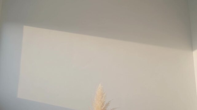 Swaying dried pampas plume showing subtle shape shift in neutral room, sunlit patch sliding upward
