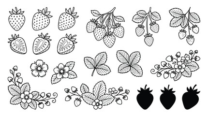 Vintage strawberry line art collection, hand drawn berry sketches and floral elements, black and white botanical vector set for organic food packaging © Shahzad