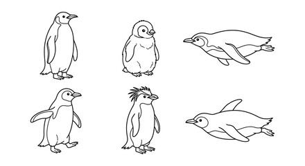 Fototapeta premium Penguin Line Art Collection Black And White Vector Illustration