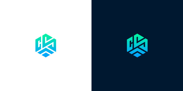 Modern geometric CS hexagon monogram logo for corporate tech branding