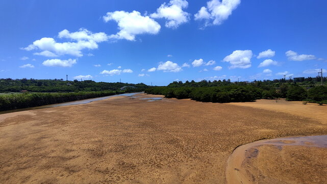 Low tide in mangrove valley