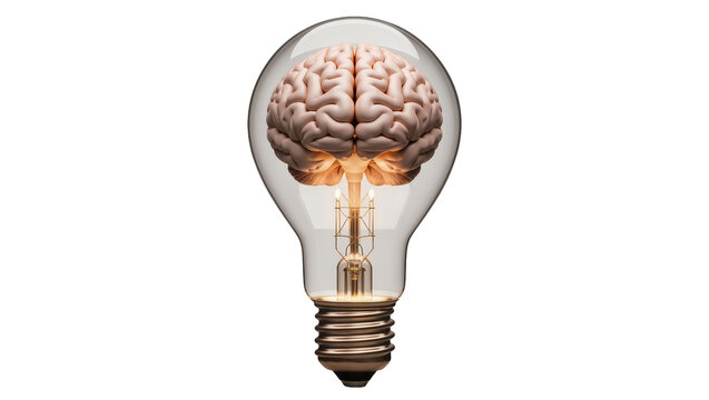 Human brain inside a clear glass light bulb with filament, isolated on transparent background