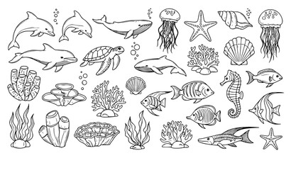 Marine life illustration set dolphins whales fish coral and shells © Sakib