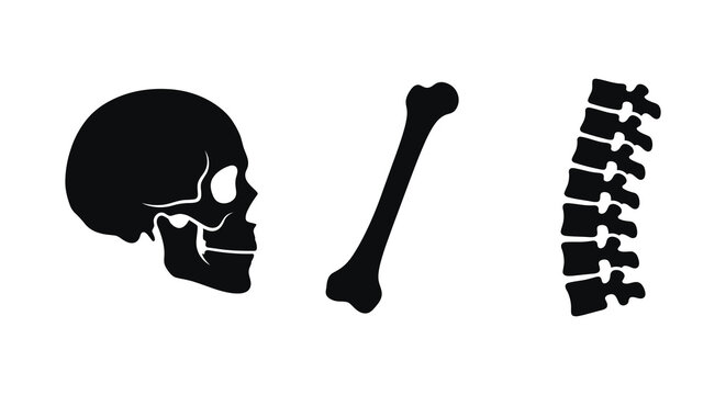 Human skull femur bone and spinal column black silhouette against a white background anatomy skeleton