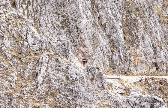 Rax-Alpe hiking area in the austrian alpine region