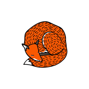 Vector card with hand drawn sweet sleeping red fox. Beautiful animals design elements, ink drawing. Wonderful illustration of a wild animal made in cartoon style.