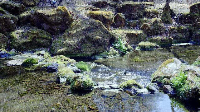 晴れた日の川辺