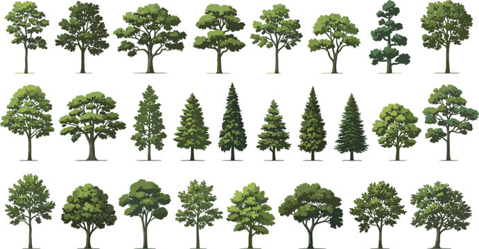 Green Tree Vector Illustration Bundle with Diverse Coniferous Deciduous and Cypress Varieties for Architectural Presentation Backgrounds and Landscape Scene Layouts