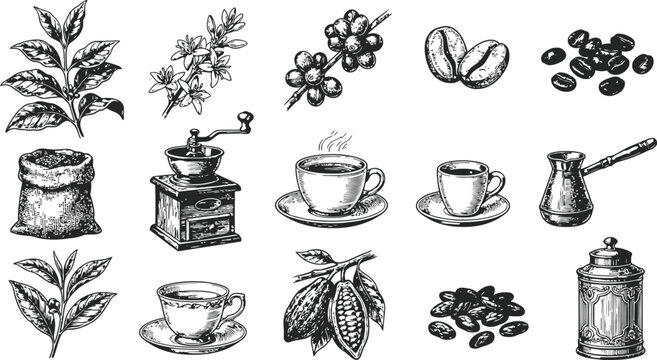 A collection of hand-drawn coffee and tea elements in an engraving style with a clean white background for versatile design use