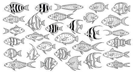 Obraz premium Comprehensive collection of many different species of fish shown as detailed black and white sketches on a white background.