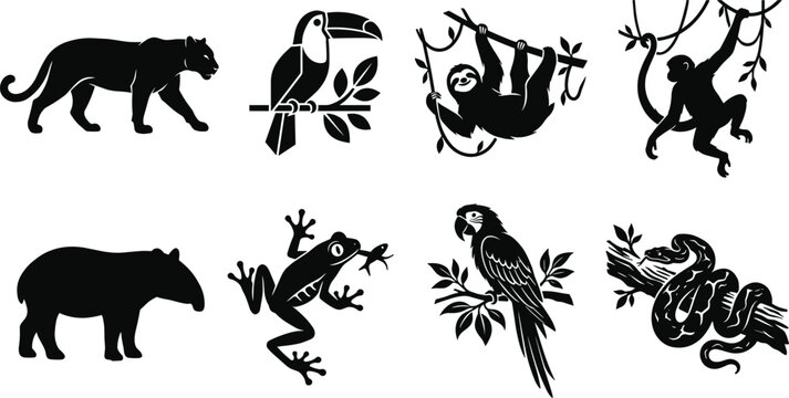 Tropical Rainforest Animal Silhouette Collection Featuring Panther Toucan Sloth Monkey Tapir Frog Parrot and Snake