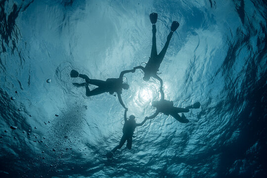 Silhouettes of four scuba divers holding hands beneath the ocean surface with sunlight shining through clear blue water. Underwater image representing teamwork, friendship, training and diving