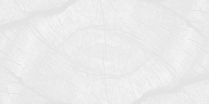 White wood texture background with natural cross section tree rings pattern, bright minimalist timber backdrop