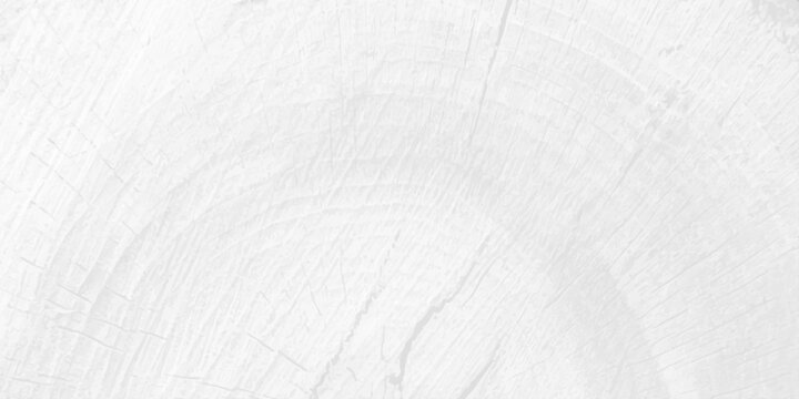 White wood texture background with natural cross section tree rings pattern, bright minimalist timber backdrop
