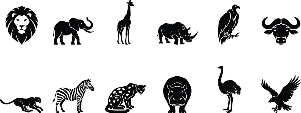 Various wild animals on white background