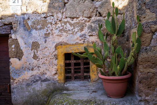 Rustic corner with cactus and grated window in Calcata, Italy