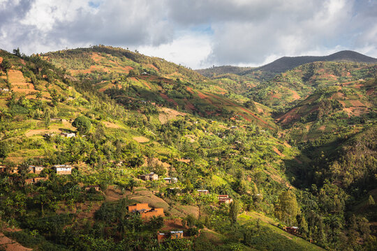 Terraced Lush Hills and Rural Village Near Bujumbura, Burundi