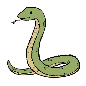 Boa constrictor snake cartoon illustration