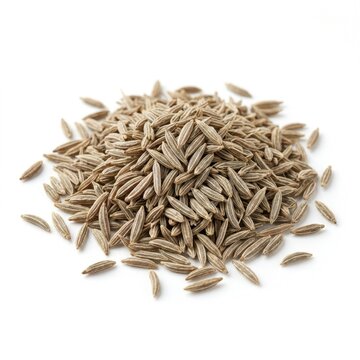 Cumin seeds isolated on white background stock photography high detail spice ingredient

