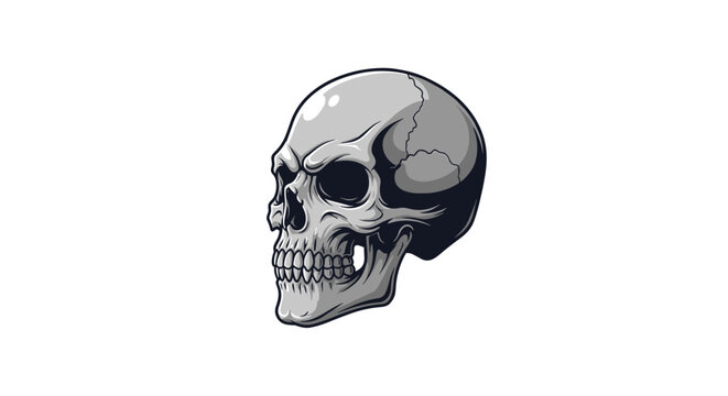 Realistic human skull side profile illustration in monochromatic grey tones, perfect for gothic and anatomy designs.