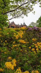 Naklejka premium Castle peeking through yellow flowers and green trees