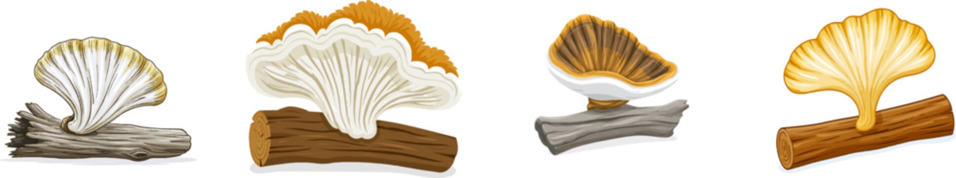 A flat vector illustration of a Dryads saddle polypore fungus growing on a rotten log features overlapping brown feathery scales in a fan shape against a solid white background