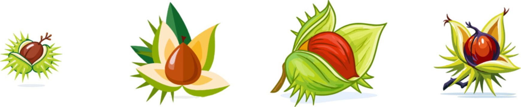 A flat vector illustration of a wild sweet chestnut fruit sits inside its partially cracked open, prickly green bur, isolated on a solid white background
