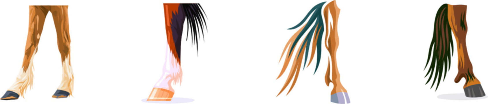 A detailed vector illustration of a horses fetlock joint showcases the intricate structure of the ergot callous and flowing feather hair patterns against a solid white background