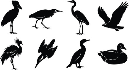 Obraz premium Silhouette Icons of Diverse Bird Species Including Stork, Crane, Kingfisher, Cormorant, and Duck in Natural Poses