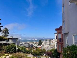 Fototapeta premium San Francisco Bay and Bay Bridge View from Russian Hill with Victorian Architecture and Hydrangeas