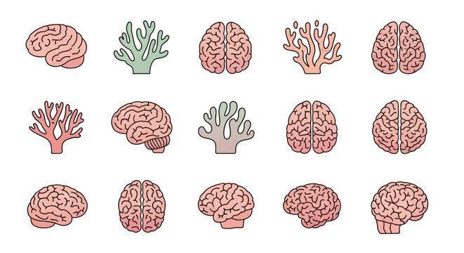 Illustrated brains and coral reefs in vector style against white background