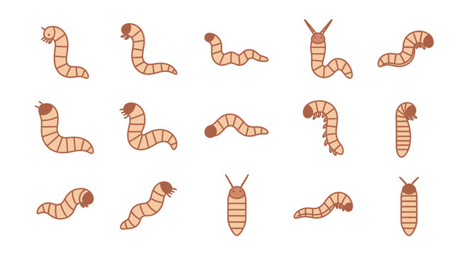 Cartoon worms set illustrated on white background for design or education