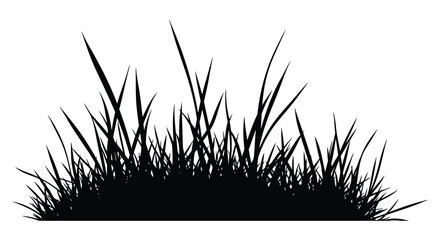 Tall grass blades silhouette against a white background silhouette © nipa